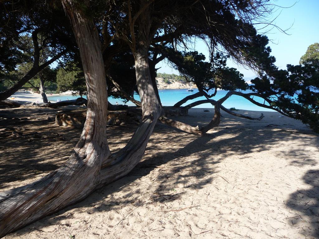 Hostal Yebisah Santa Eularia des Riu Exteriér fotografie